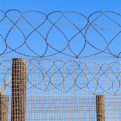 Galvanizli Jiletli Tel